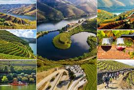 Douro Vinhateiro